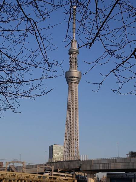 20140222_Tokyo_Simba_069.jpg