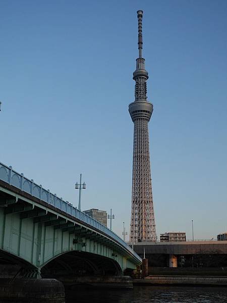 20140222_Tokyo_Simba_082.jpg