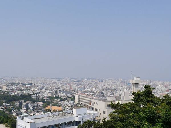 20140501_Okinawa_Simba_319.jpg