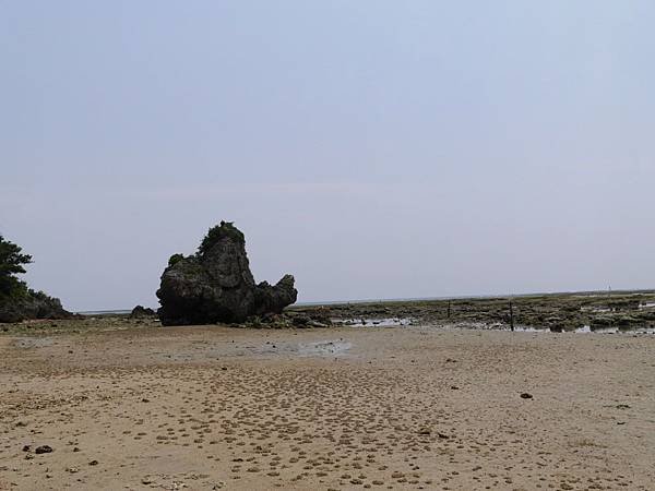 20140501_Okinawa_Simba_349.jpg