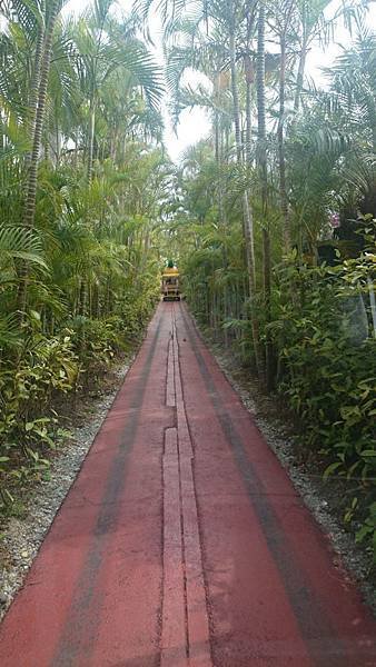 20140501_Okinawa_Sony_264.jpg