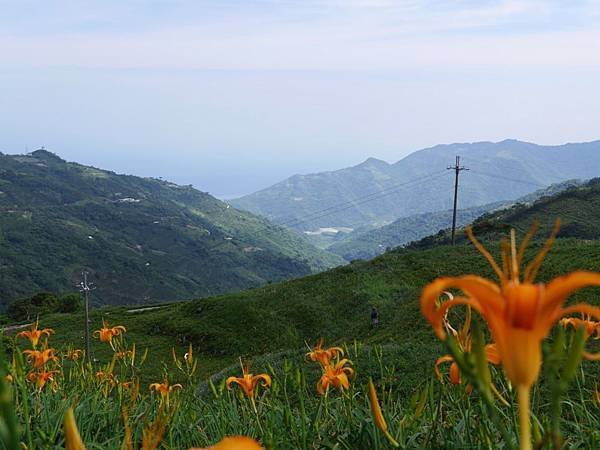 20140801_Taitung_Lumix_177.jpg