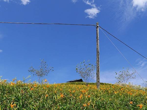 20140801_Taitung_Lumix_181.jpg