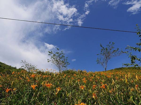 20140801_Taitung_Lumix_182.jpg