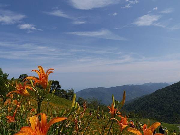 20140801_Taitung_Lumix_185.jpg