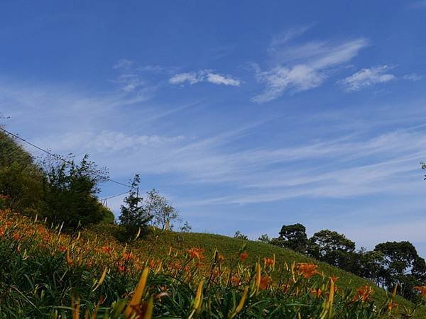 20140801_Taitung_Lumix_186.jpg