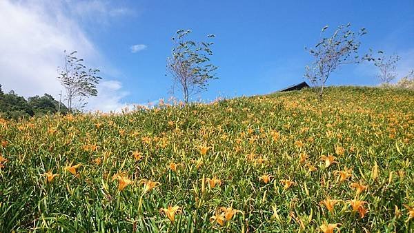 20140801_Taitung_Z1_070.jpg