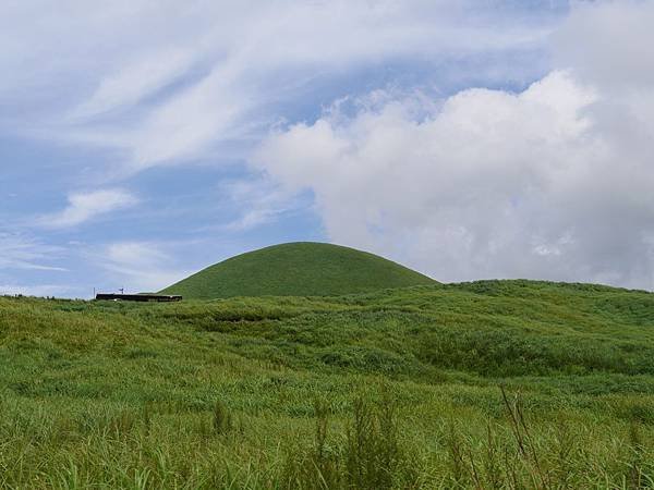 20140811_Kyushu_Simba_028.jpg