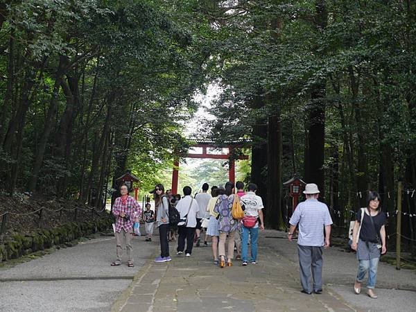 20140812_Kyushu_Simba_079.jpg