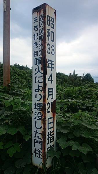 20140813_Kyushu_Sony_115.jpg