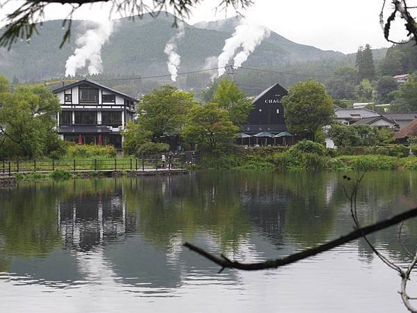 20140816_Kyushu_Simba_14.jpg