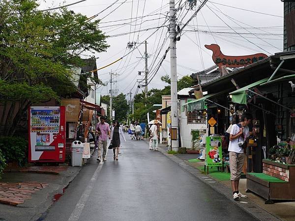 20140816_Kyushu_Simba_43.jpg