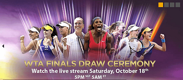 00_2014_WTA_Final.jpg