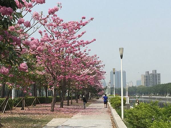 20150324_KHH_Flowers_72.jpg