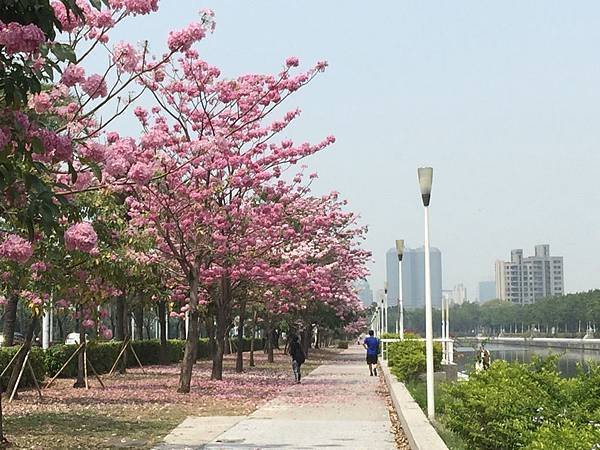 20150324_KHH_Flowers_73.jpg