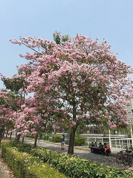 20150324_KHH_Flowers_80.jpg