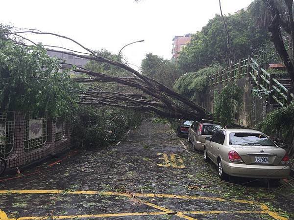 20150808_Typhoon_Soudelor_07.jpg