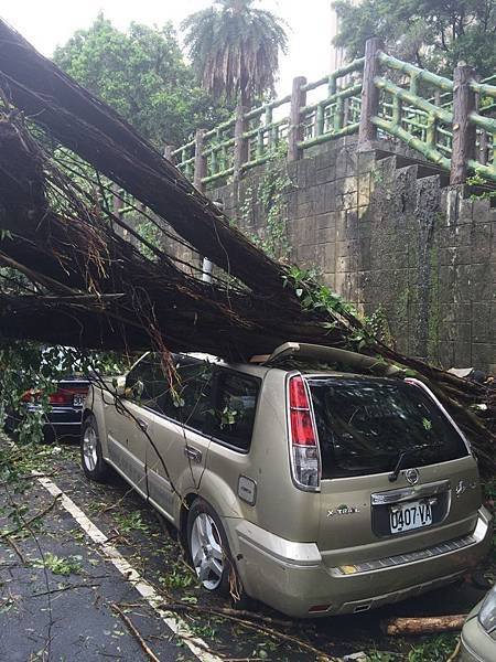 20150808_Typhoon_Soudelor_20.jpg