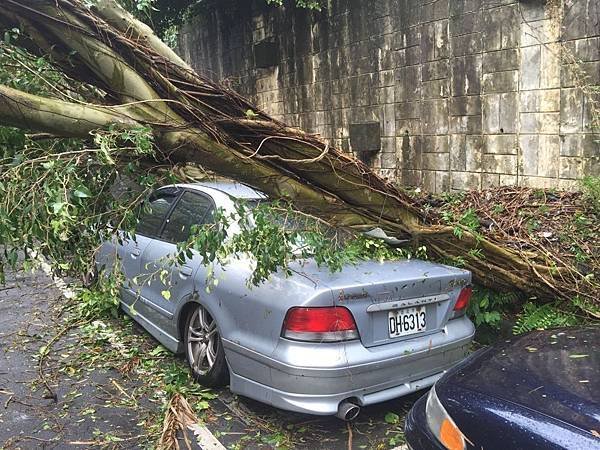 20150808_Typhoon_Soudelor_27.jpg