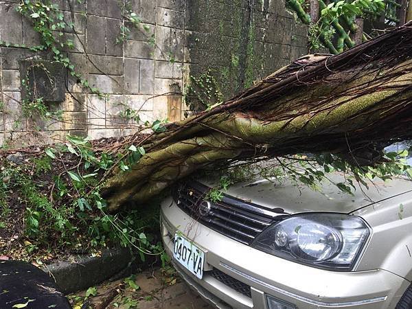 20150808_Typhoon_Soudelor_35.jpg