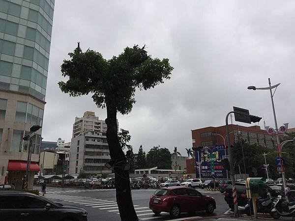 20150928_Chiayi_Typhoon_Dujuan_061.jpg