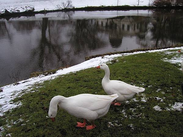 2003_Europe_Leiden_21.jpg