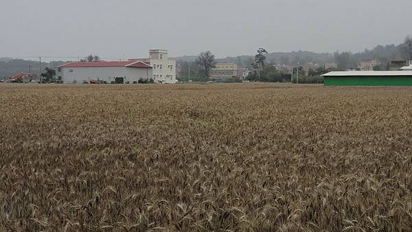 Kinmen_20110502125.jpg