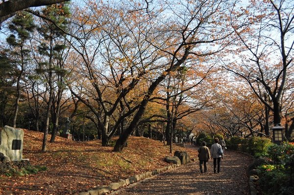 Tokyo_20101128_164.jpg