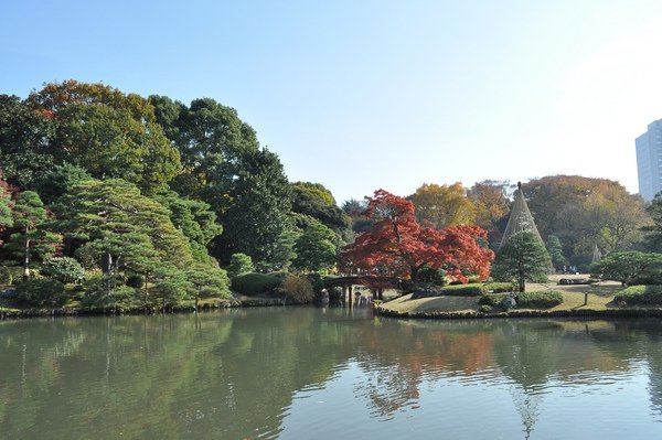 Tokyo_20101128_075.jpg