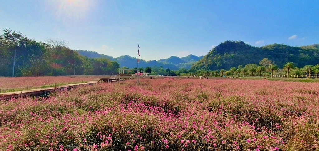 TKY-1 考艾花園X酒莊之旅包車一日遊-巧克力工廠+北海道