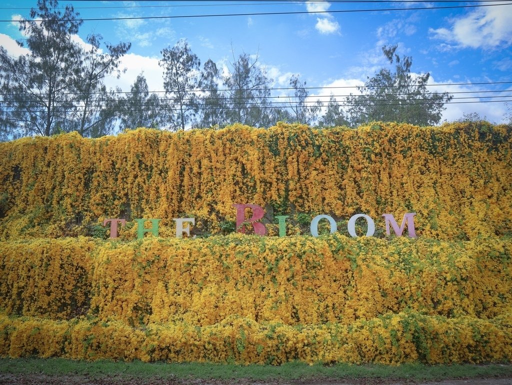 TKY-1 考艾花園X酒莊之旅包車一日遊-巧克力工廠+北海道