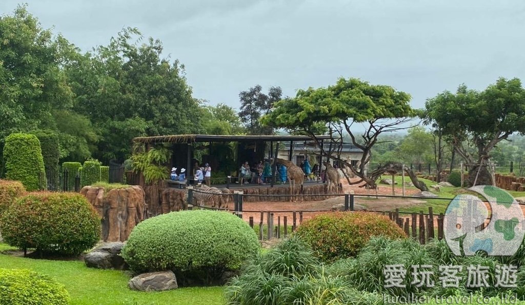 【華欣景點】華欣賽佛瑞野生動物園