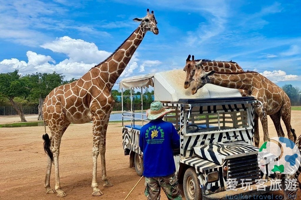 TKC-3 北碧野生動物園一日遊-桂河大橋+死亡鐵路搭火車+