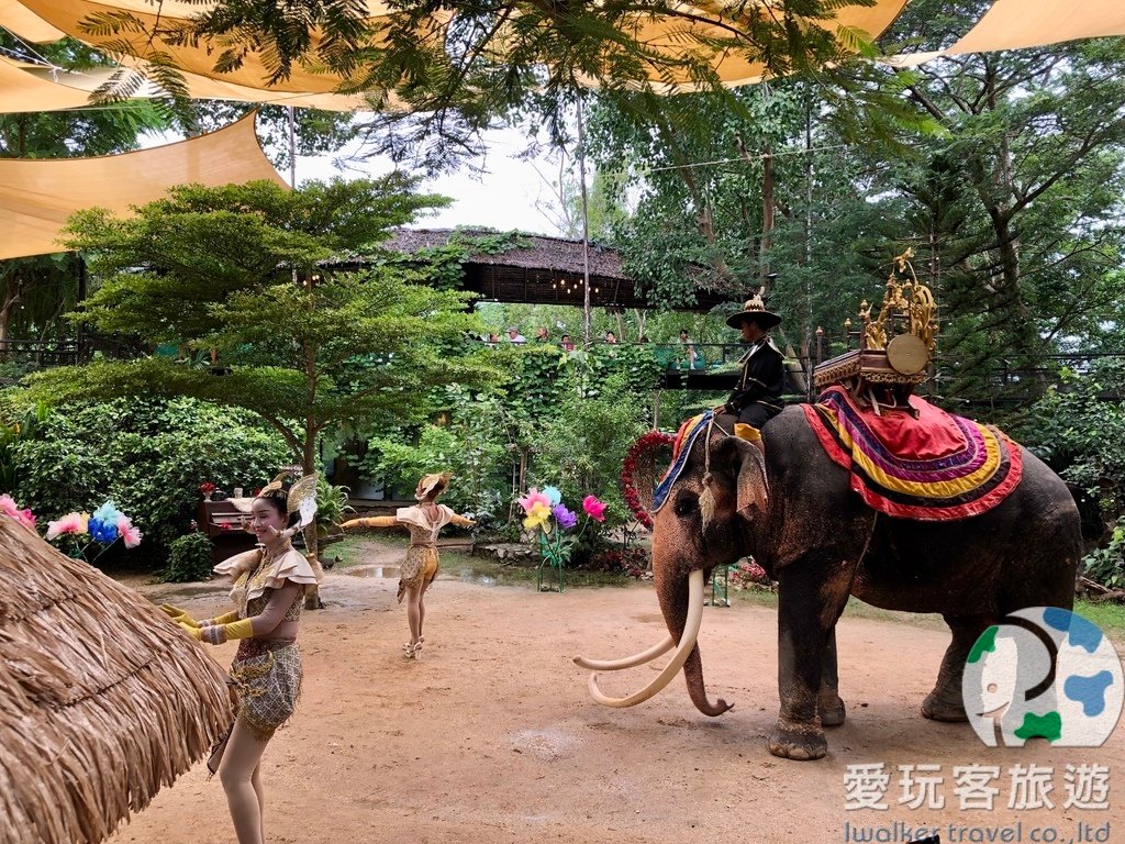 【芭堤雅景點】泰國網紅景點-MongChang Cafe象園