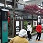 IMG_2515.JPG