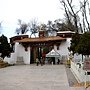 IMG_2234.JPG