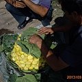 新鮮無花果 我愛死它了