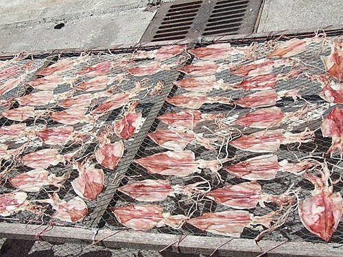 澎湖小管‧(鎖卷、中卷、透抽、小捲、小卷、管仔)