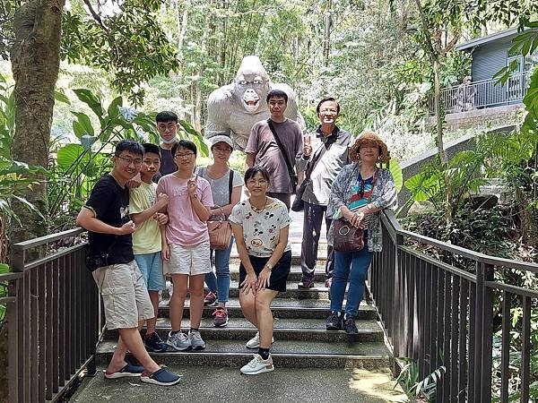 大板根