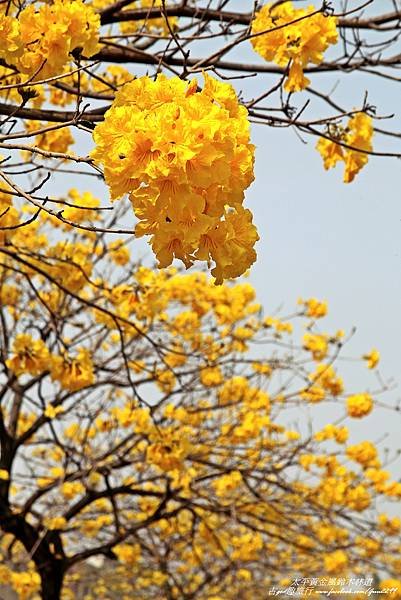 IMG_8512
