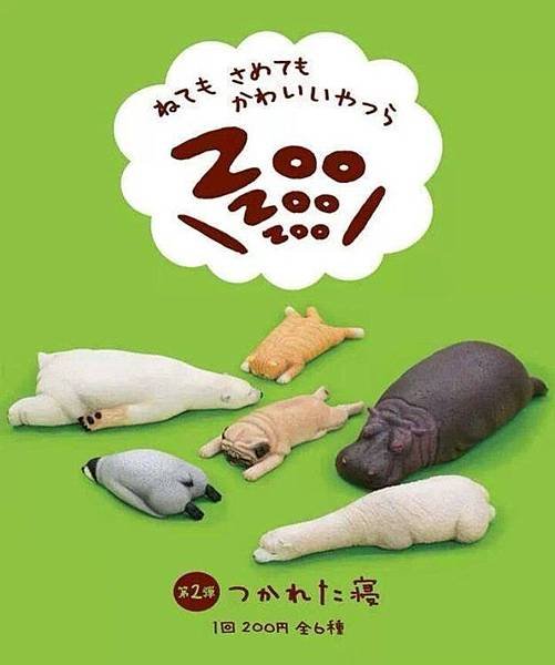 zoo zoo zoo2