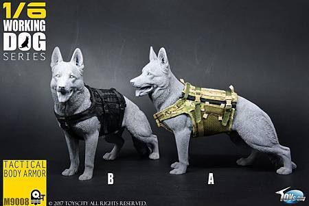 TOYSCITY 1:6 犬用戰術防彈衣