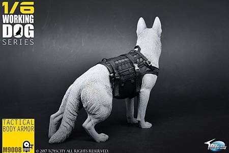 TOYSCITY 1:6 犬用戰術防彈衣