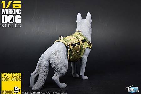 TOYSCITY 1:6 犬用戰術防彈衣