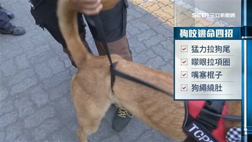 遇惡犬咬人怎麼辦1