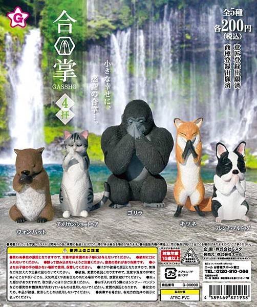 2019合掌動物四代