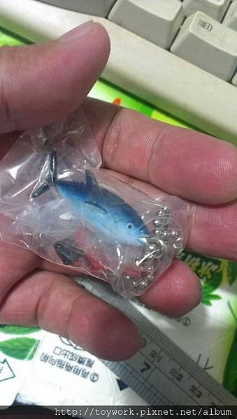 釣魚機 (不挑樣混合機台) 扭蛋