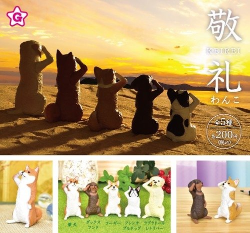 2019敬禮犬.jpg
