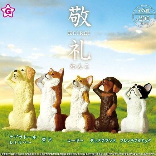 2019敬禮犬2.jpg