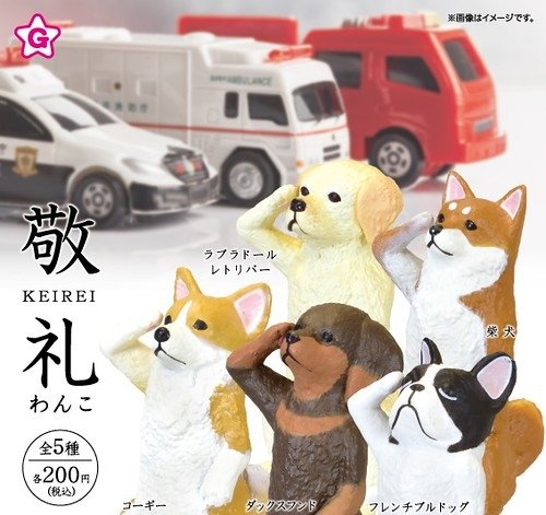 2019敬禮犬3.jpg